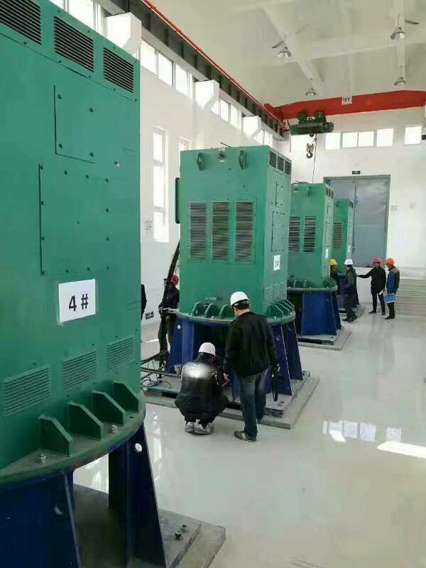 Y7107-10某污水处理厂使用我厂的立式高压电机安装现场